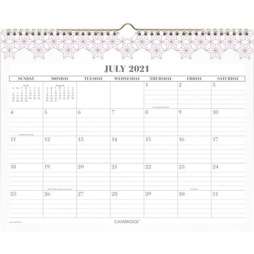 At-A-Glance WorkStyle Pink Academic Wall Calendar - 1557P707A