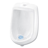 Big D Industries Extra Duty Urinal Screen with Non-Para Block, Evergreen Scent, White, Dozen