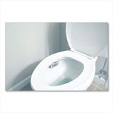 Big D Industries Non-Para Toilet Bowl Block, Lasts 30 Days, Evergreen Scent, White, 12/Box