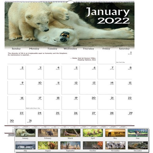 House of Doolittle Earthscapes Wildlife Wall Calendars - 3731