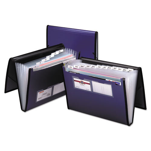 Pendaflex Professional Expanding Organizer, 7 Sections, Elastic Cord Closure, 1/6-Cut Tabs, Letter Size, Blue