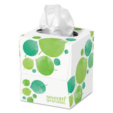 Seventh Generation 100% Recycled Facial Tissue, 2-Ply, White, 85 Sheets/Box